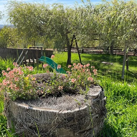 Mit Pool- In Der Naehe Von Montemor-o-velho By Interhome Reveles (Montemor-o-Velho)