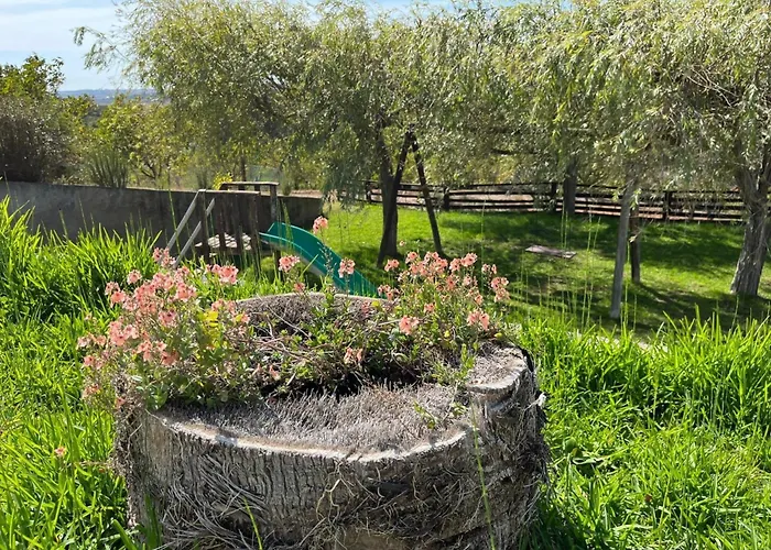 Mit Pool- In Der Naehe Von Montemor-o-velho By Interhome Reveles (Montemor-o-Velho)